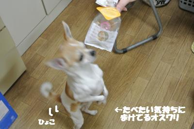 20130212+005_convert_20130212100550.jpg