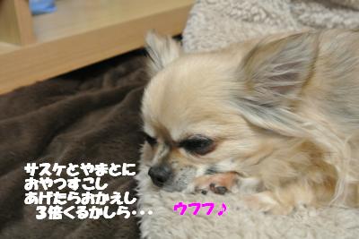 20130212+015_convert_20130212155944.jpg