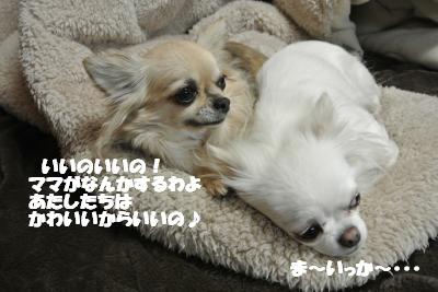 20130212+027_convert_20130212155435.jpg