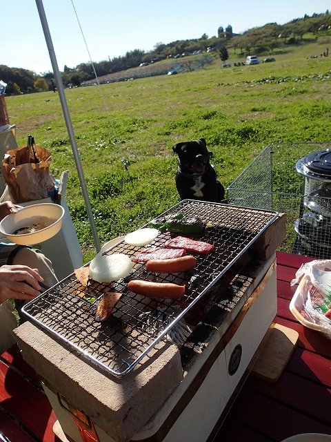 BBQ
