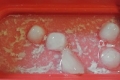 KANIJIRU_20131206183629f70.jpg