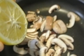 lemonmush.jpg