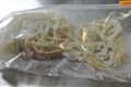 sasagakigobougg.jpg