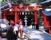 九頭竜神社新宮１