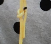 俺のうどん赤２