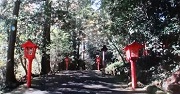 箱根神社２　参道