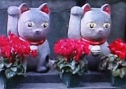 今野神社４