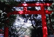 花園神社４
