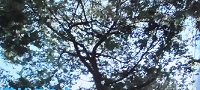 西銀座チャンスセンター2