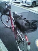 2012043018090000.jpg
