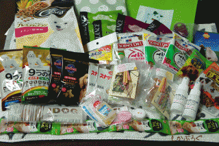 DSC00061.gif