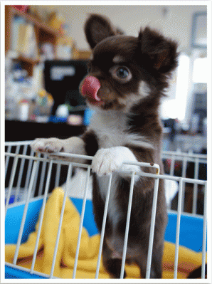 DSC00083.gif