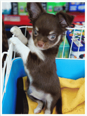 DSC00106.gif