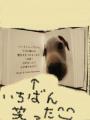 本 笑