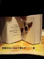 本 涙
