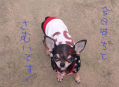 なな 外!
