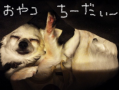 れん 寝る