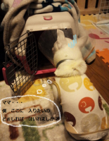 との考え中