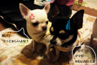 兄ちゃん達