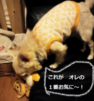 おもちゃ2