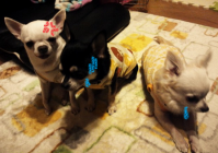 兄ちゃん達と・・・