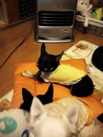 なぁ~こ2