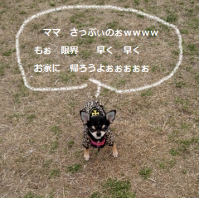 なぁ~こ