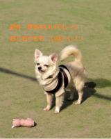 漣