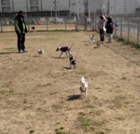 カメラ目線