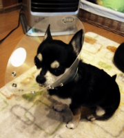 りくからー