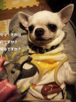 との