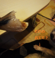 レンつめ1