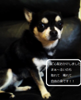結果3