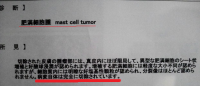 結果4