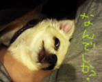 renn.png