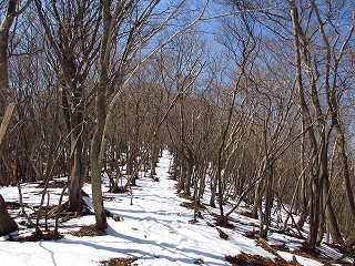 IMC_0803_20120331073222.jpg
