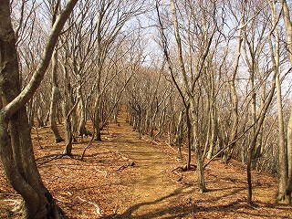 IMC_0991.jpg