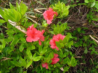 IMG_3572.jpg
