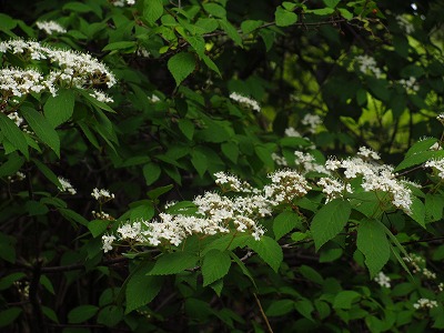 IMG_3591.jpg