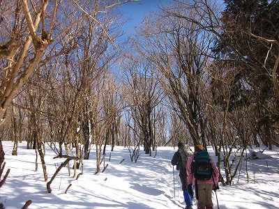 IMG_8375.jpg
