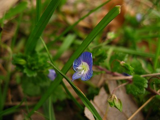 IMT_0515.jpg