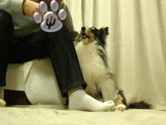 om00121.jpg