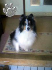 om00284.jpg
