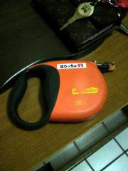 om00323.jpg