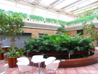 2011_08230068.jpg