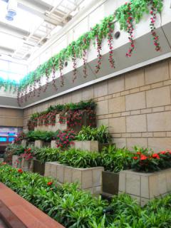 2011_08230071.jpg