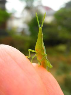 2011_08250112.jpg