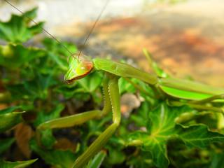 2011_08260132.jpg
