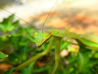 2011_08260135.jpg