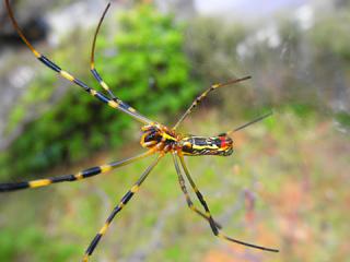 2011_08260145.jpg